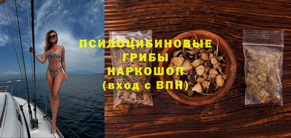 тгк Бородино