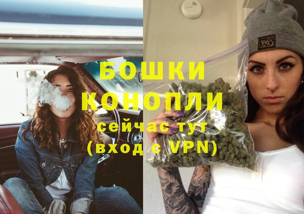тгк Бородино