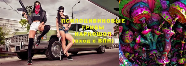 крисы Верея