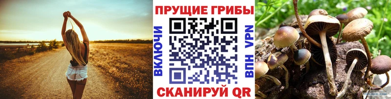 Псилоцибиновые грибы ЛСД  сколько стоит  Северобайкальск 